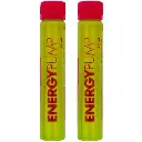 energy-pump-1df6-500x500.webp