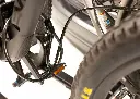 RM_BackStage_Lockloop__56326.webp