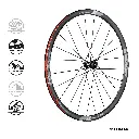 team-30-disc_ant_1.webp