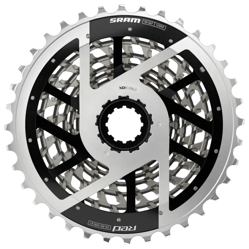 am-cs-xg-1290-e1-10-36-c-back-s-v01.webp